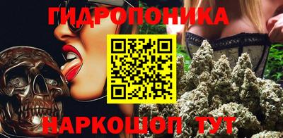 Альфа ПВП Обь