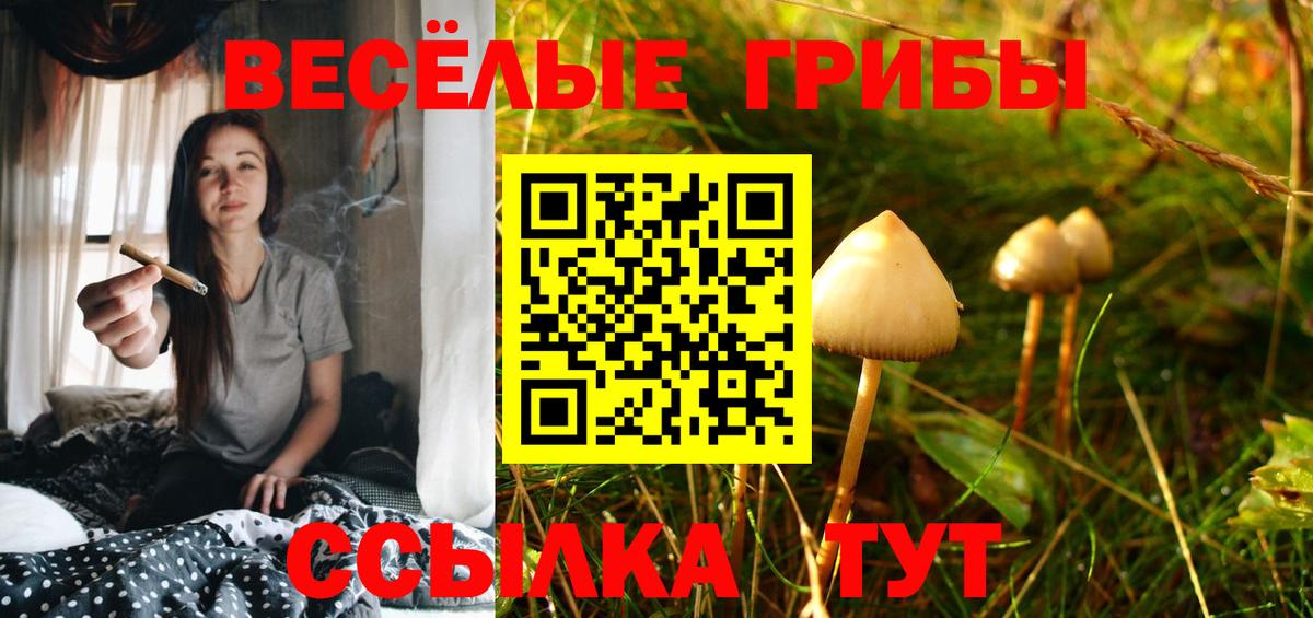 Галлюциногенные грибы Cubensis Тихвин